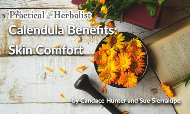 Calendula Benefits: Sunny Herbal Remedy Tea for Skin Comfort