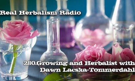 280.Growing an Herbalist with Dawn Lacska-Tommerdahl