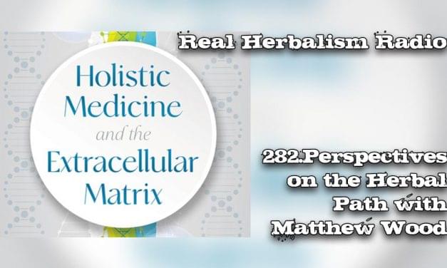 282.Perspectives on the Herbal Path with Matthew Wood