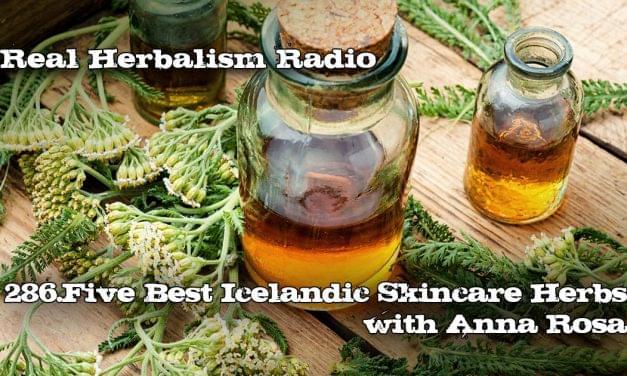 286.The 5 Best Icelandic Skincare Herbs with Anna Rosa