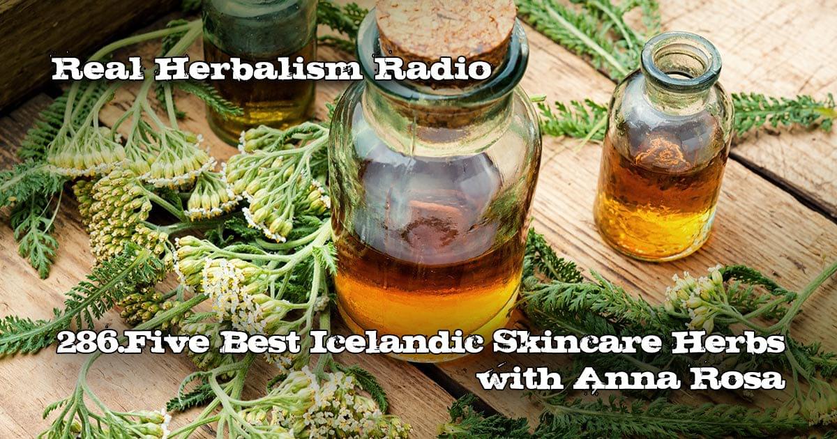 286.The 5 Best Icelandic Skincare Herbs with Anna Rosa