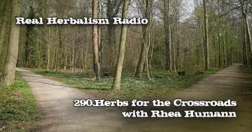 Real Herbalism Radio Show 290.Herbs for the Crossroads with Rhea Humann