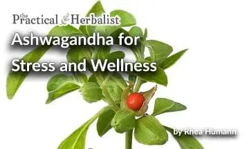Ashwagandha for Stress and Wellness by Rhea Humann